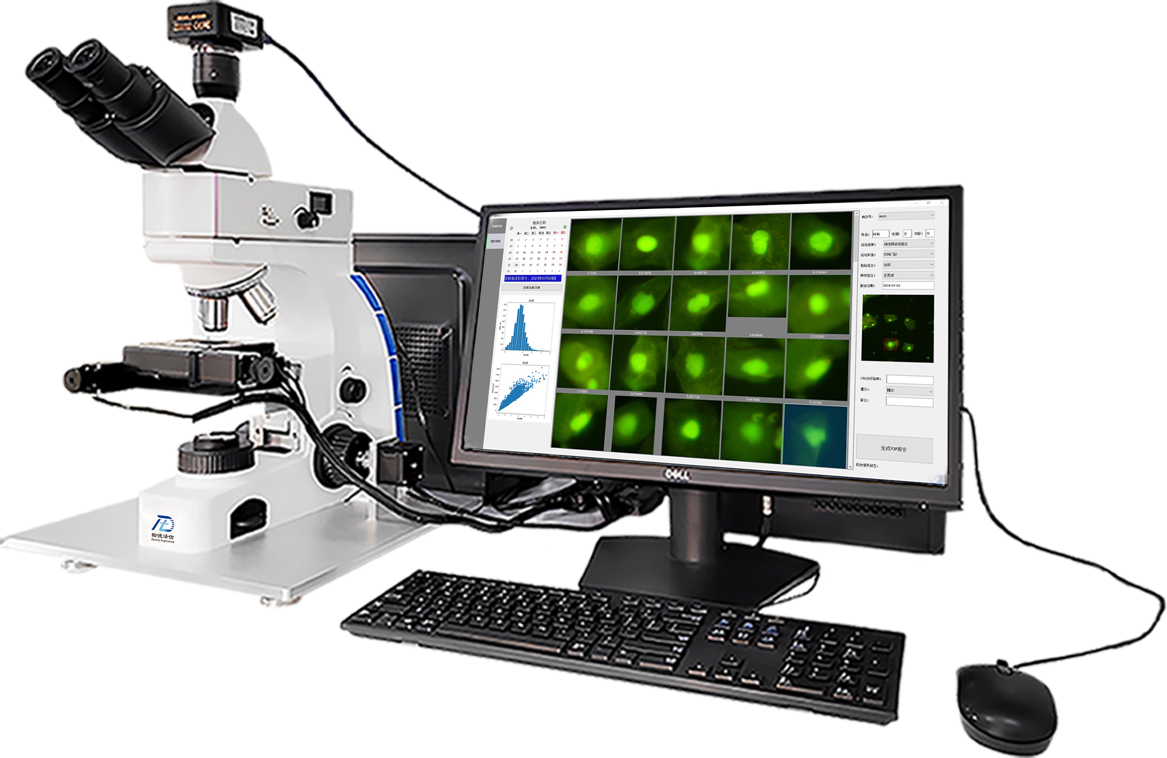 AI Fluorescent  DNA Ploidy Analyzer