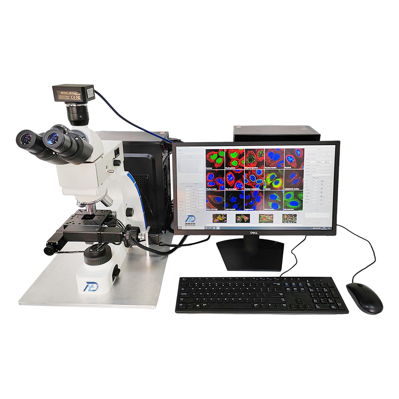 Fully automatic AI fluorescence microscope system