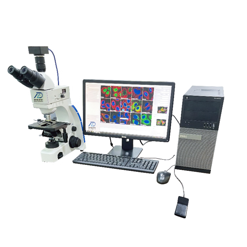 Semi-Automatic AI Fluorescence Microscope System