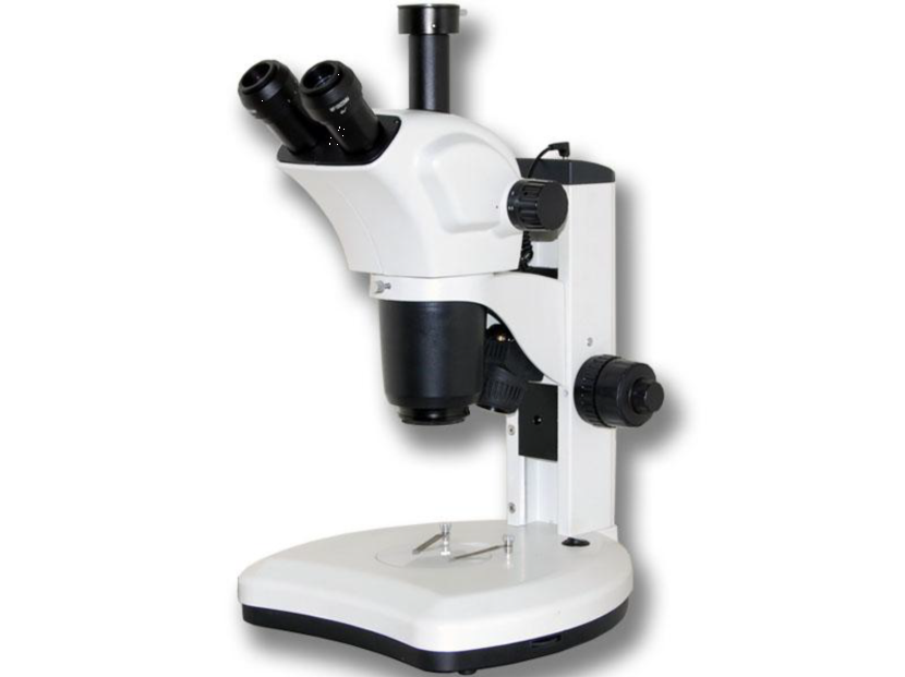 Stereo Microscope