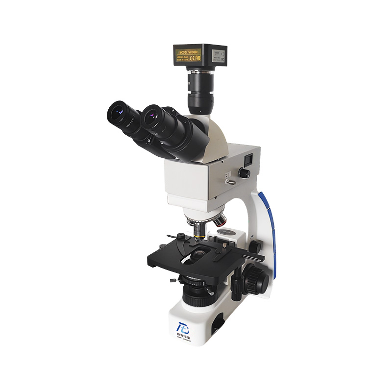 Fluorescence Microscope